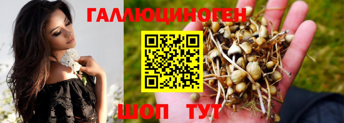 Котлас  Галлюциногенные грибы прущие грибы  Вход с VPN  Галлюциногенные грибы Cubensis 