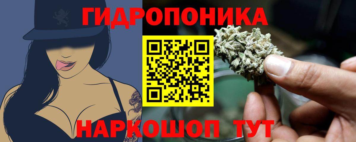 Бошки Шишки план  Каннабис тримм  Шишки марихуана THC 21%  Вход с VPN  Котлас  Марихуана THC 21% 